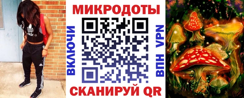 Галлюциногенные грибы Psilocybine cubensis  Юрга 