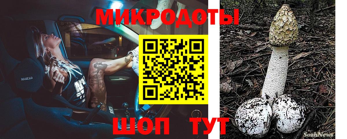 Псилоцибиновые грибы мицелий Юрга