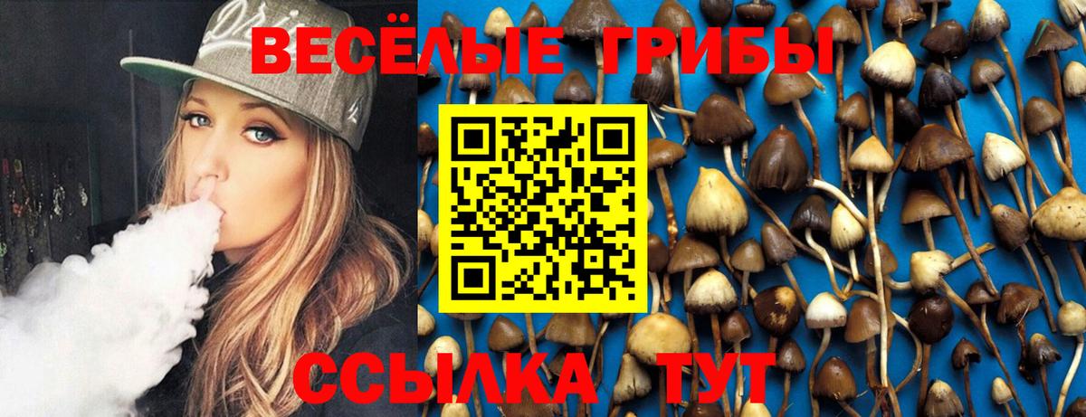 Псилоцибиновые грибы MAGIC MUSHROOMS  Вход с VPN  Юрга  Псилоцибиновые грибы MAGIC MUSHROOMS 